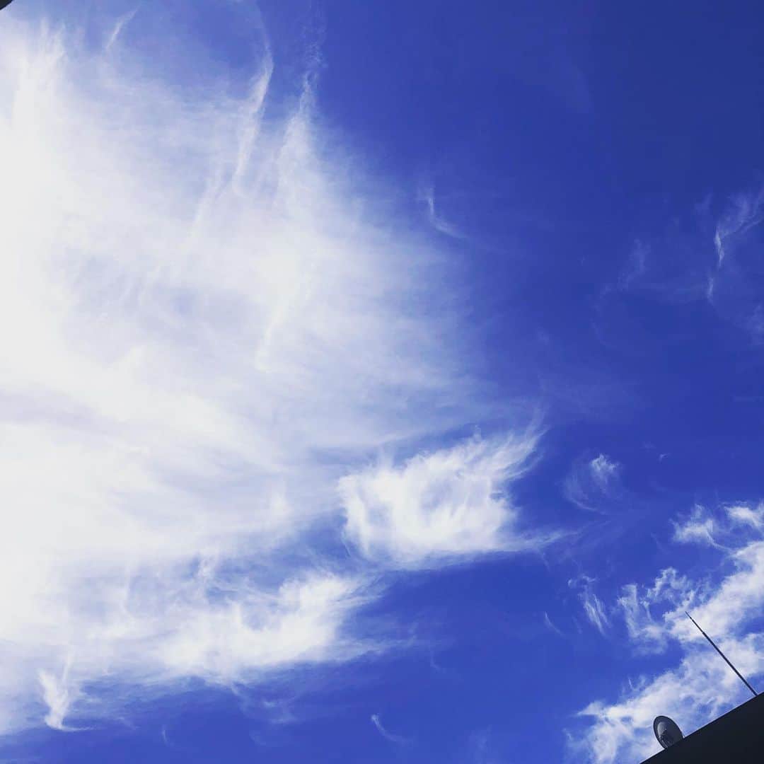 佐伯紅緒さんのインスタグラム写真 - (佐伯紅緒Instagram)「今日は快晴。 空があんまり綺麗なので撮りました。 まるで鳳凰の翼のようです。 風が強いので、本日はお足元にはお気をつけください。  今日も良い日を✨  #いまそら」6月17日 10時29分 - beniosaeki