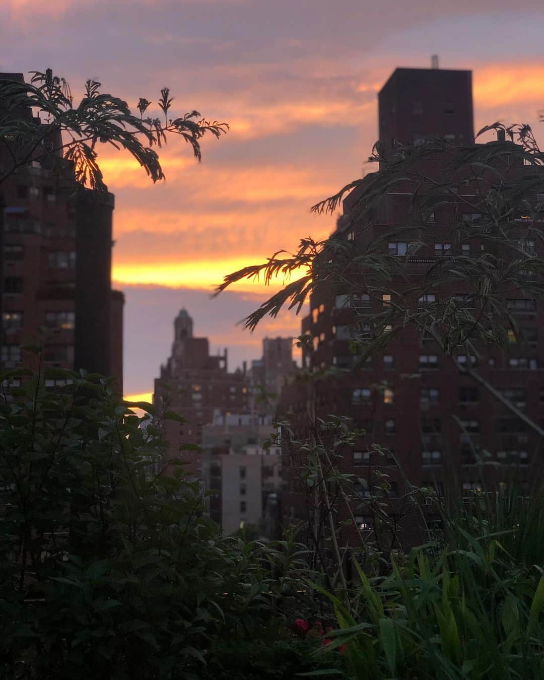 ザックポーゼンさんのインスタグラム写真 - (ザックポーゼンInstagram)「#nyc sunset and pasta with @vanina_sorrenti and my god daughter #lennonsorrentibuchet and @christopherniquet a perfect Sunday night!」6月17日 10時50分 - zacposen