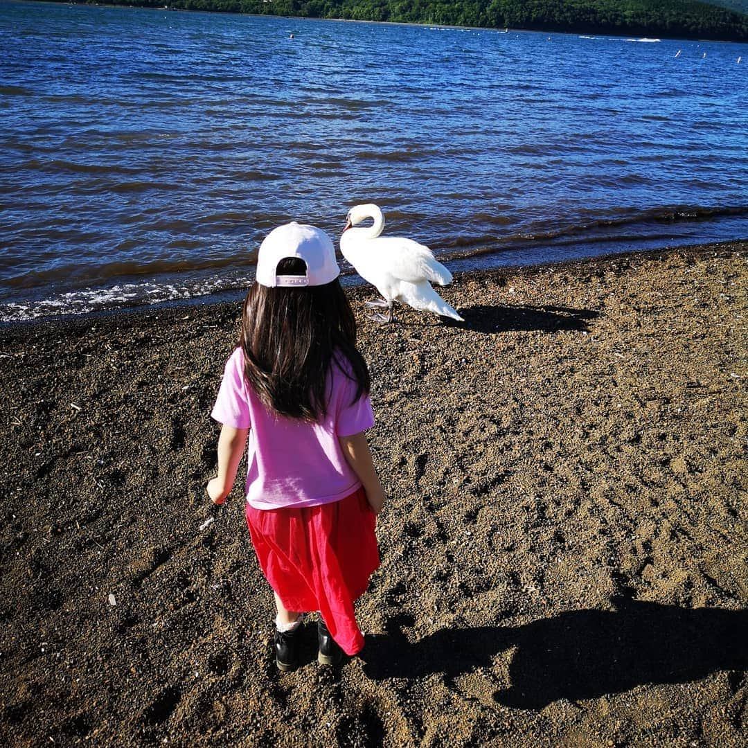 蛯原英里さんのインスタグラム写真 - (蛯原英里Instagram)「・ 昨日から山中湖に来ています ・ お散歩していると白鳥の親子に遭遇✨ ・ 「パパとママとお姉ちゃんと弟の親子で一緒だね🎵」と😊 凄く近くまで近づいても大丈夫でした ・ 白鳥の赤ちゃんフワフワしていて可愛かった～！ 良い思い出になったね～！ ・ ・  #山中湖 #白鳥  #白鳥の親子に遭遇 #雛鳥  #可愛かった  #kidsfashion #kidswear  #ecragee #babysisland_official」6月17日 10時52分 - eriebihara