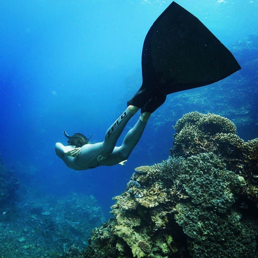 福田朋夏さんのインスタグラム写真 - (福田朋夏Instagram)「次はどこの海を潜ろうかな？✨✨🐬🐟🐠 photo by @isana_ishigaki #ocean #freediving」6月17日 10時59分 - tomoka_fukuda