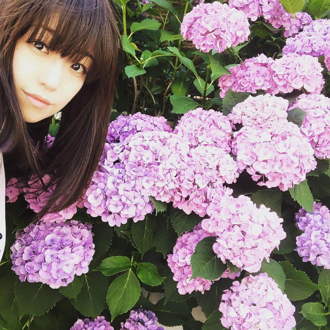 富田麻帆さんのインスタグラム写真 - (富田麻帆Instagram)「紫陽花の季節♡ カタツムリ🐌雨☂️ 6月のカレンダーは、こんなイメージだよね。 今年の梅雨は、長くなるって話だったけど今日の晴れてる空を見ると、なかなか信じられない。笑」6月17日 22時10分 - maho_tomita6261
