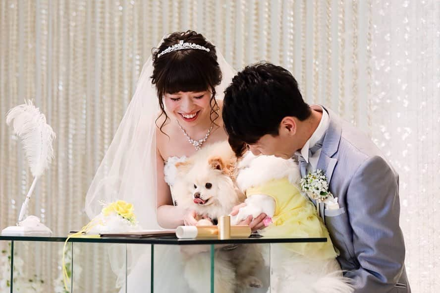 ルシアスガーデンさんのインスタグラム写真 - (ルシアスガーデンInstagram)「* * 大好きな家族🐶と一緒にできる結婚式✨ * * リングドッグ💍や結婚証明書のサイン🐾など 大活躍😆💕 * #プレ花嫁 #ウェディング #ブライダル #結婚式準備 #結婚式 #大阪プレ花嫁 #プロポーズ #チャペル #マリッジリング #日本中のプレ花嫁さんと繋がりたい#プレ花嫁さんと繋がりたい #ルシアスガーデン #ウエディングフォト #卒レポ #花嫁準備 #式場 #式場見学 #式場選び #ブライダルフェア #結婚式場 #結婚準備 #花嫁 #婚約 #テラス付き#2019春婚 #ゲストハウス #ガーデンウェディング#リングドッグ#結婚証明書」6月17日 20時49分 - luscious_garden