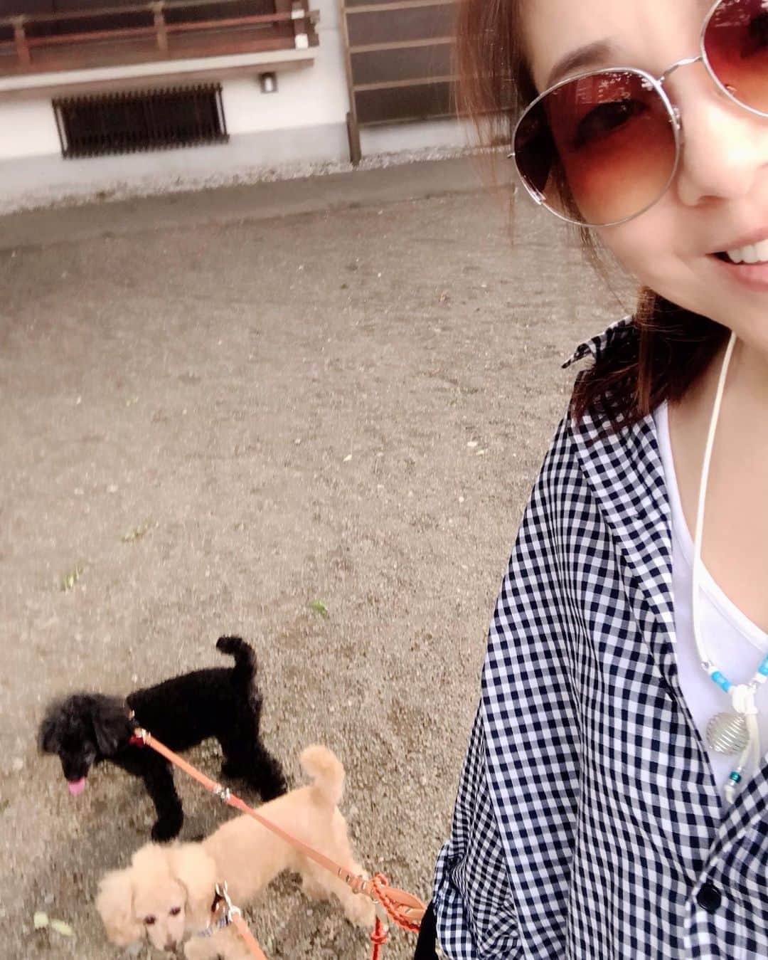 井上貴子のインスタグラム：「MTG後のお散歩^ ^  筋肉痛が……いたい…  Happyで^ ^  #井上貴子  #LLPWX #女子プロレス #紅緒と柊音 #トイプードル #満月 #筋肉痛」