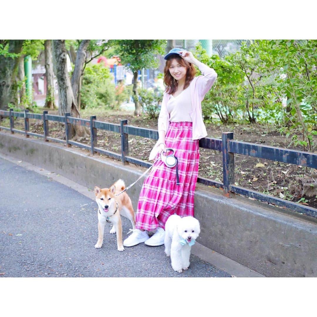 浦野一美さんのインスタグラム写真 - (浦野一美Instagram)「お友達が迎えた柴犬のガンちゃんと初対面のぱぴちゃん🐕🐩 . 相性が良くて一安心♫  #犬 #dog #tokyo #japan #toypoo #shibainu」6月17日 21時04分 - cindy.cinderella