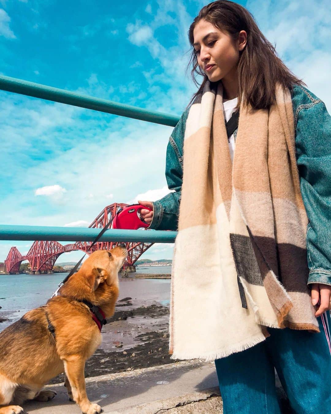 リン・ハッチソンさんのインスタグラム写真 - (リン・ハッチソンInstagram)「Instagram makes me jealous (of people who can hang out with their dog all the time).」6月17日 21時37分 - lynnekarinahutch