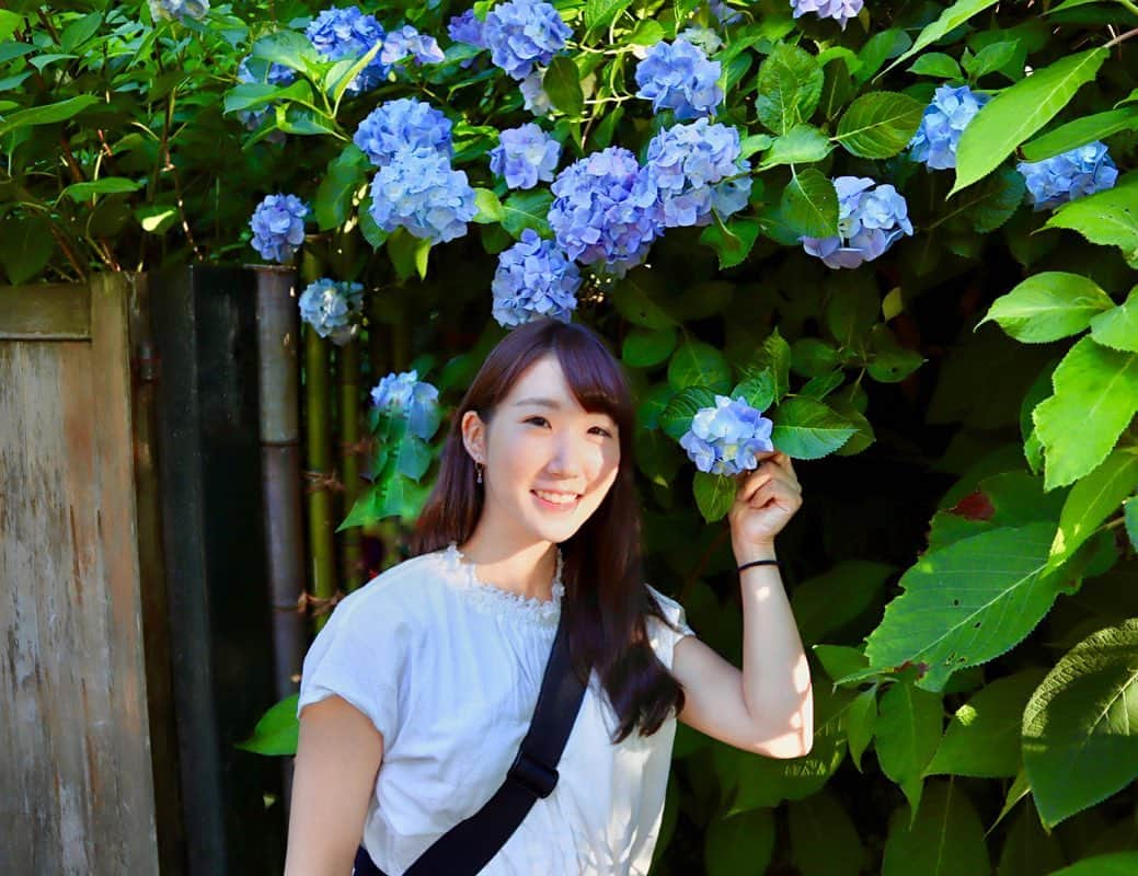 尾上彩さんのインスタグラム写真 - (尾上彩Instagram)「The season of hydrangeas🌸☔️ ・ 紫陽花の季節🌸☔️ この時期の鎌倉も良き！ ・ #明月院 #紫陽花 #鎌倉 #kamakura #hydrangea」6月17日 21時41分 - aya_onoe