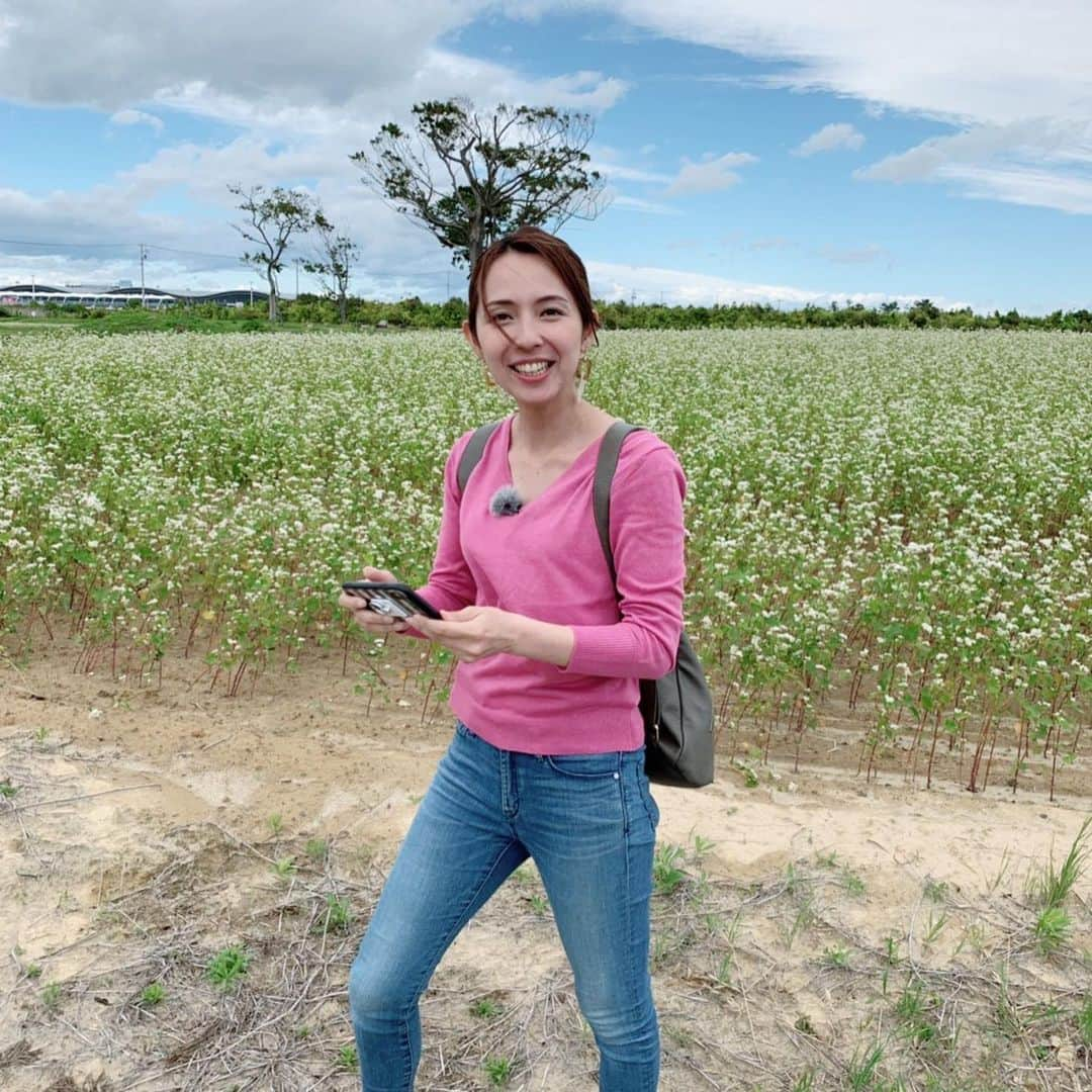 若林翔子さんのインスタグラム写真 - (若林翔子Instagram)「* * チャージロケ♡ 一面のそばの花をバックに遊んでみました♡  背後の黒い影は〜… シャイなスタッフさんたちと今日もまた楽しいロケでした☺️ 毎週月曜17:36ごろ〜の旬感さんぽにて🤗」6月17日 21時53分 - shokowakabayashi1685