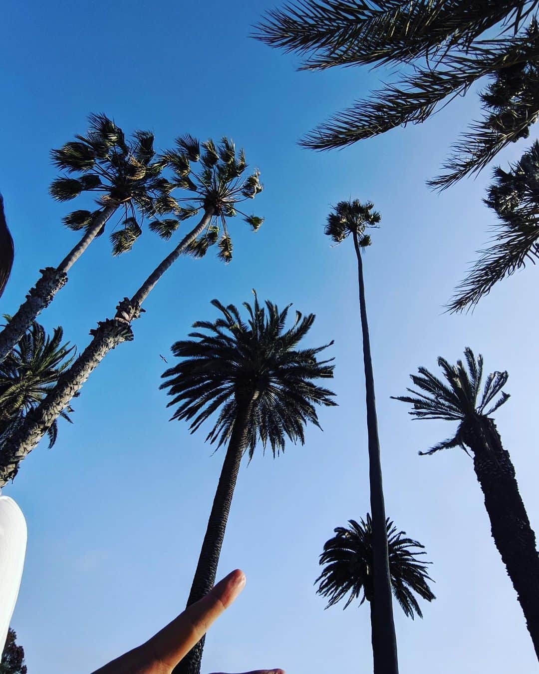 高橋メアリージュンさんのインスタグラム写真 - (高橋メアリージュンInstagram)「Venice beach. California LosAngels.」6月17日 21時58分 - maryjuntakahashi