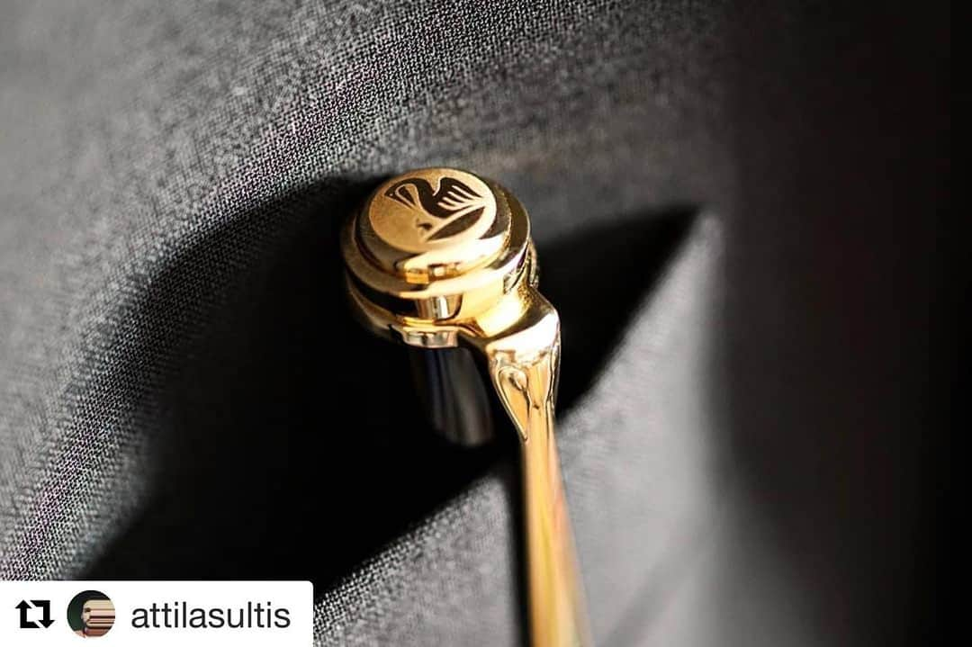 ペリカンさんのインスタグラム写真 - (ペリカンInstagram)「We wish everyone a wonderful start into the week. 😊 Thank you @attilasultis for this great 📸. ・・・ My emotional support pen at my Master's final presentation (architecture) . It's DONE! OVER! 🎉 I looked sharp like a butter knife! ✒️Pelikan M800 Tortoise #fpgeeks #fountainpen #fountainpens #writing  #closeup #handwriting #calligraphy #stationary #stationeryaddict #stationery #seriousnibbage #pennerd #penaddict #writinginstruments #sonya6000 #sonyalpha #pen #nib #ink #calligraphydaily #rockyourhandwriting #productphotography #CurrentlyInked #Pelikan #detail #depthoffield #macro #gold #style #elegant」6月17日 22時04分 - pelikan_passion