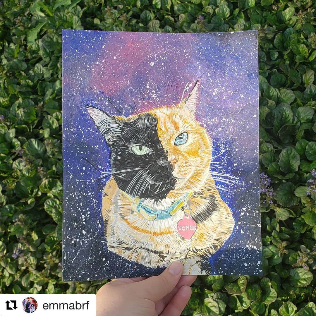 Venus Cat さんのインスタグラム写真 - (Venus Cat Instagram)「We ❤️ fan art! @emmabrf posted a really neat time lapse of this at different stages. I’ll post it to stories too. Thanks Emma, we love it! 😽😽 #venusfanart  #Repost @emmabrf ・・・ @venustwofacecat . . . #art #painting #acrylicpainting #petportrait #illustration #drawing #acrylic #petpainting #catart #catpainting #gouachepainting #gouache #acrylicgouache」6月17日 13時12分 - venustwofacecat