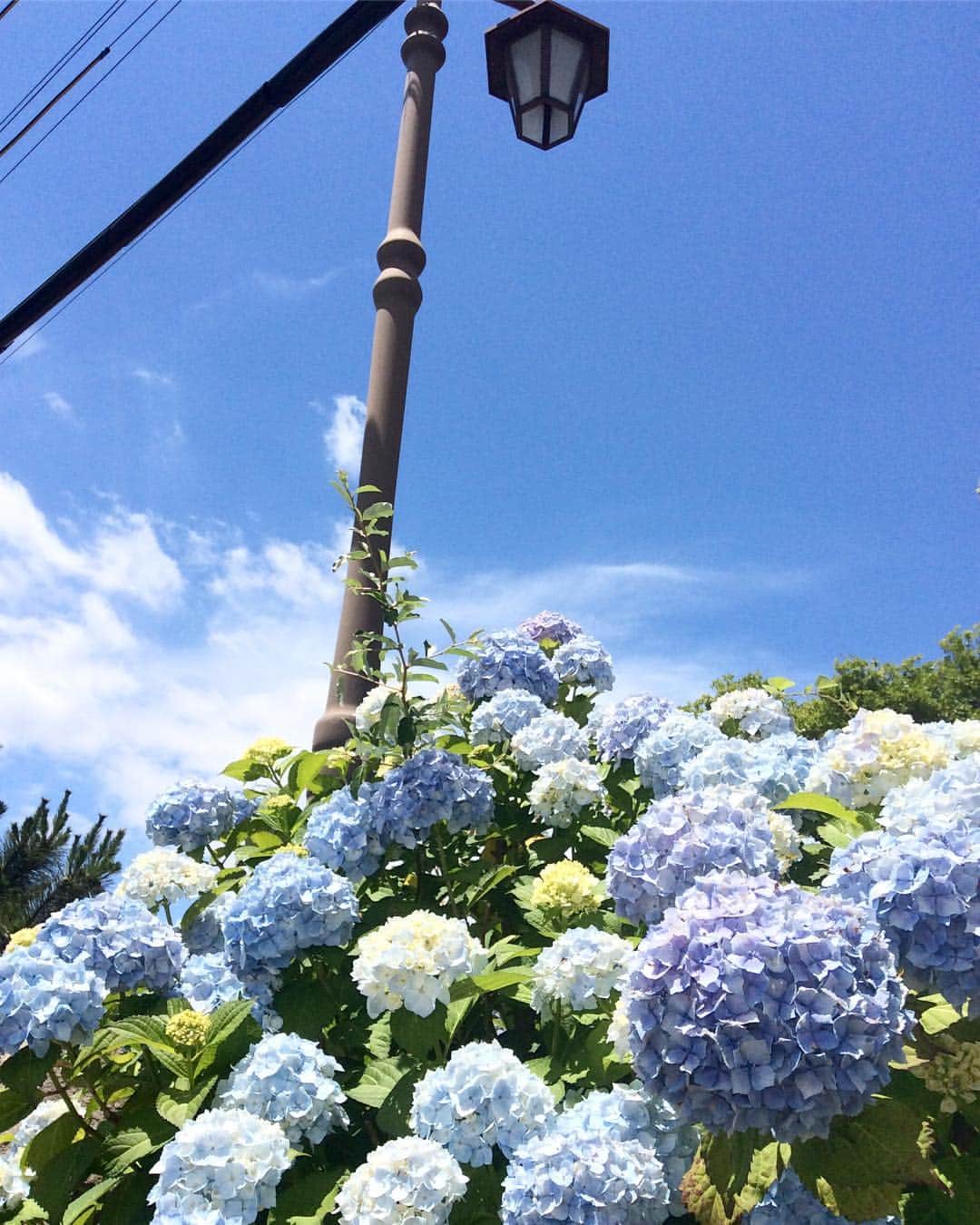 祥吉のグルメインスタ