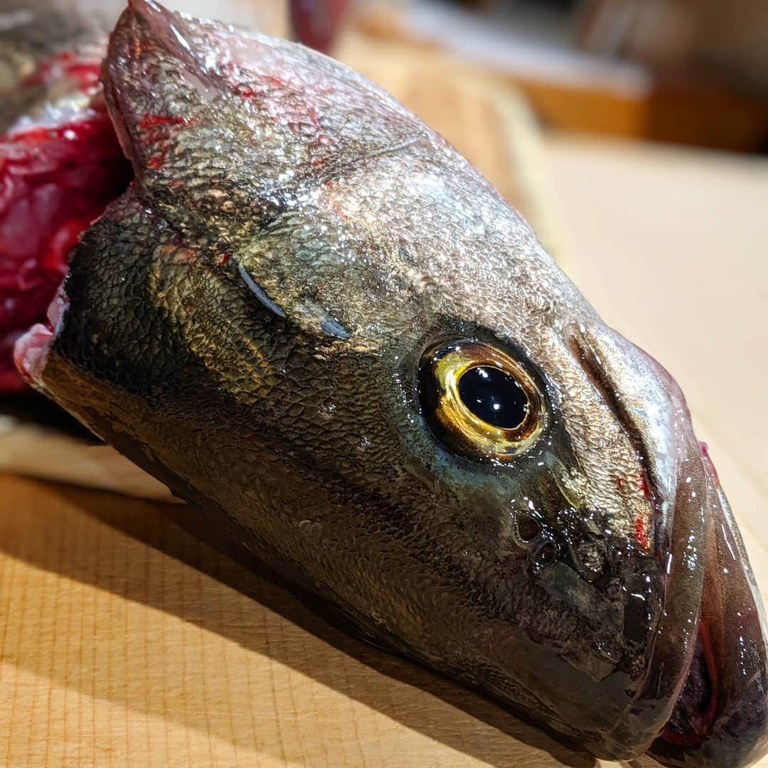 天本正通 のインスタグラム