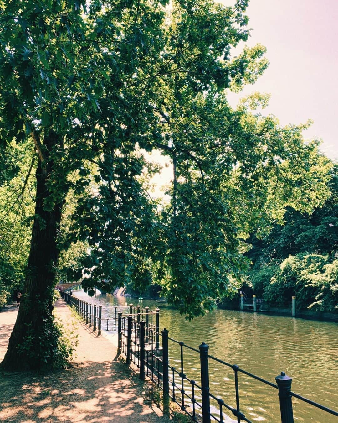 STIL IN BERLINのインスタグラム：「Have a great week 🌳 #kreuzberg」