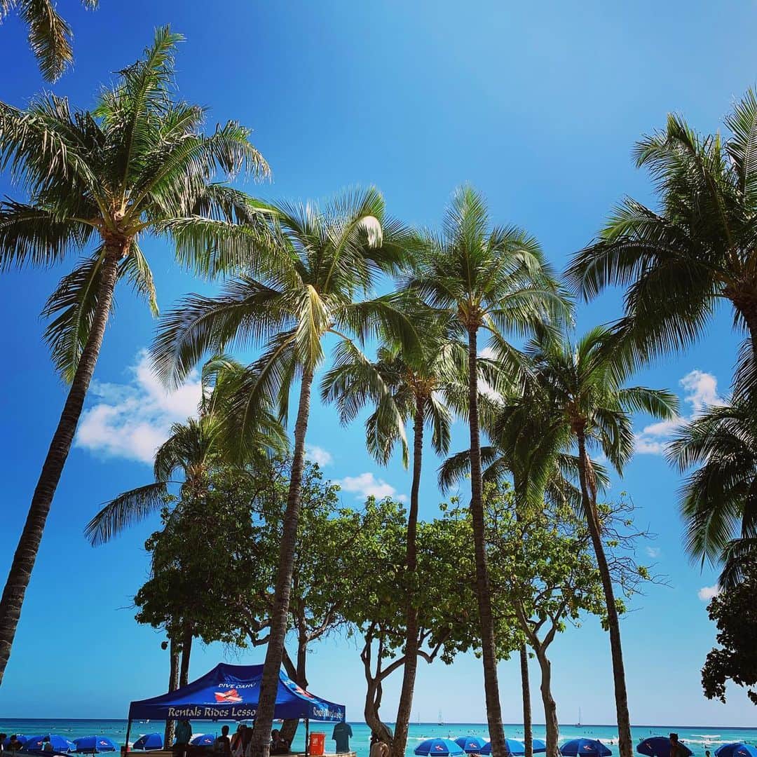 吉田美紀さんのインスタグラム写真 - (吉田美紀Instagram)「・ 入る時間はなかったものの海が見たくて少しお散歩👣 これぞハワイという風景🌴 ・ 明日からいよいよサマースクールスタート。 お友達できるかなぁ…？と ドキドキワクワクしながら 今日は早く就寝した娘です。 ・ きっと…大丈夫！！！ ・ #hawaii #honolulu #waikiki #beach #ハワイ #ホノルル #ビーチ」6月17日 16時09分 - miki__yoshida
