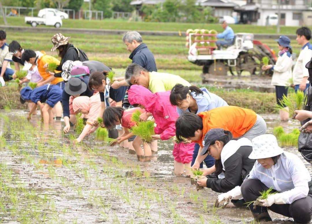 白鶴酒造株式会社のインスタグラム