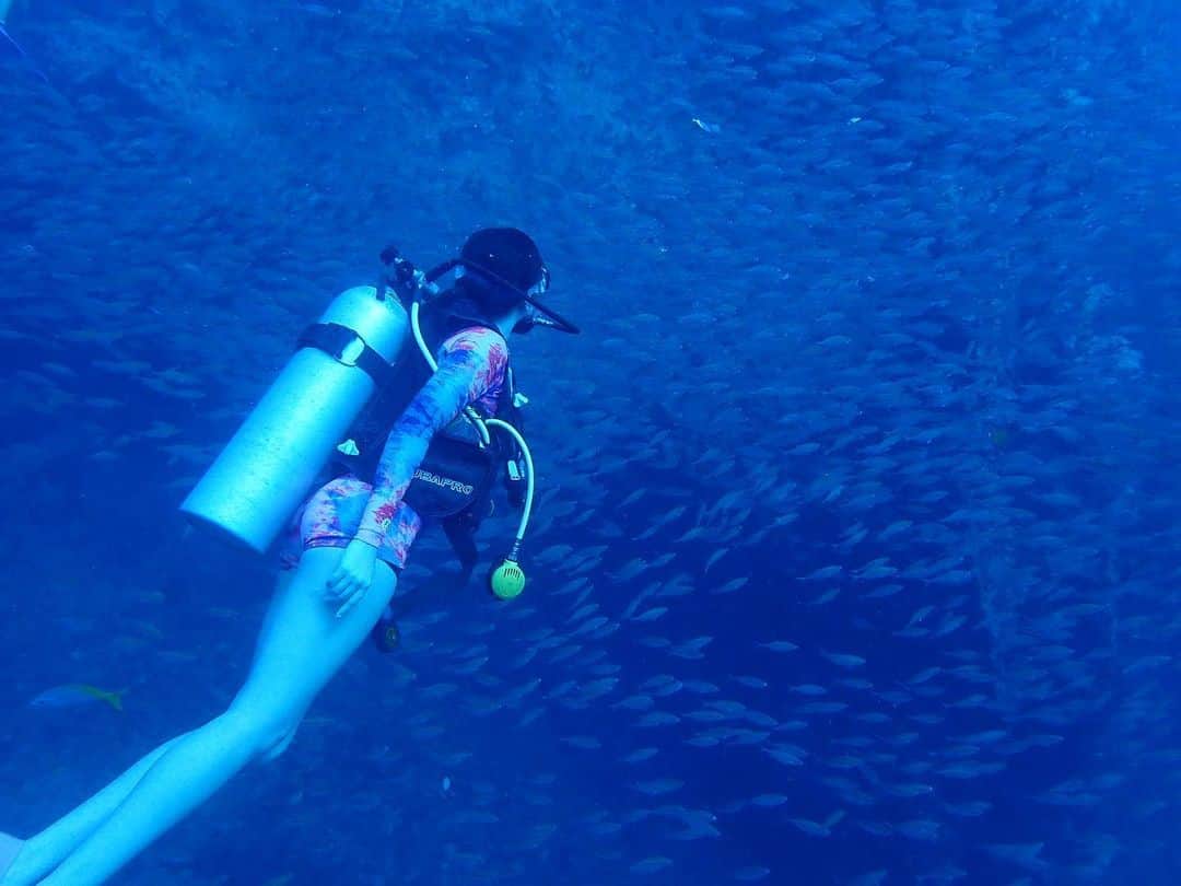 石田ニコルさんのインスタグラム写真 - (石田ニコルInstagram)「🐠🐠🐠🐠🐠🐠 魚群好き  #diving #diver」6月17日 16時46分 - nicole_ishida