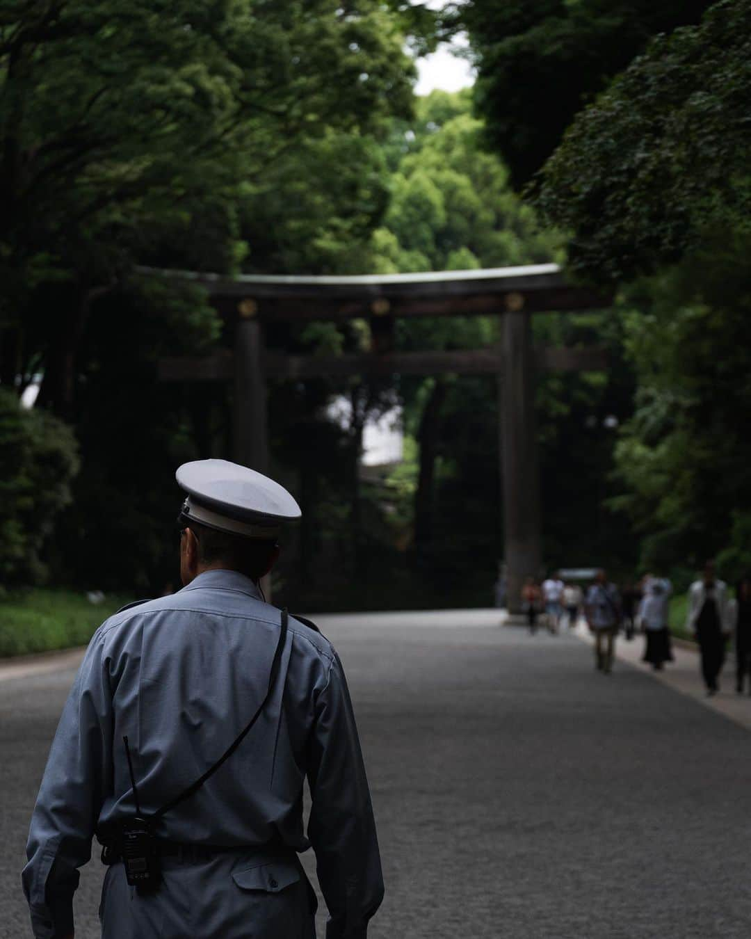 田村幸士さんのインスタグラム写真 - (田村幸士Instagram)「. Meiji-jingu. . . . . #discovertokyo #explorejpn  #ig_today #wu_japan #jp_gallery #japanko_official #photo_jpn #tokyocameraclub #visitjapanjp #team_jp_ #nipponpic #daily_photo_jpn #lovers_nippon #myfujilove #fujilove #fujixfam #fujifilm_catalog #inspirationcultmag #hsinthefield #meijijingu #shintoshrine #Priesthood #japantrip  #明治神宮 #富士フイルム #日本の風景」6月17日 16時51分 - kojimg