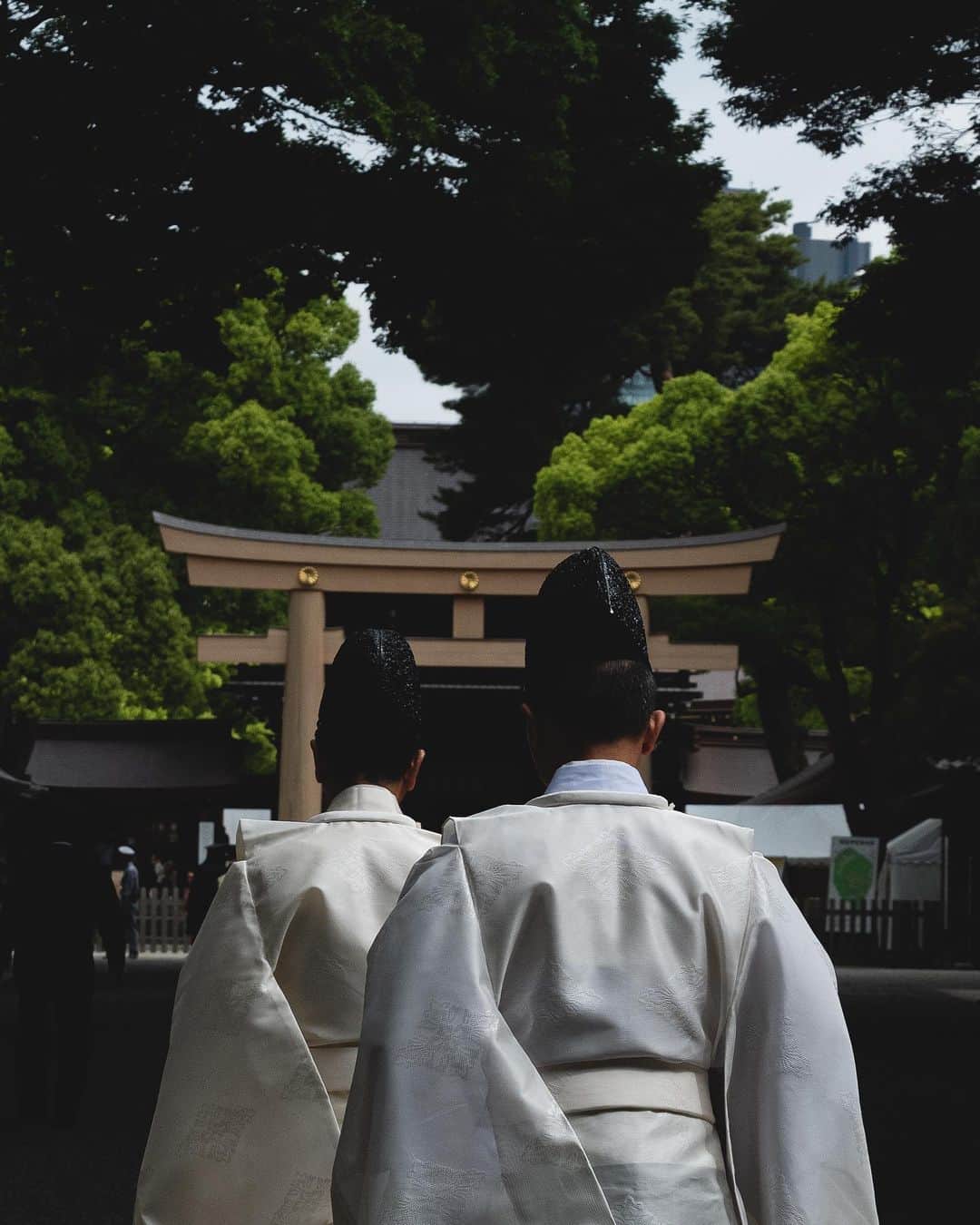 田村幸士のインスタグラム：「. Meiji-jingu. . . . . #discovertokyo #explorejpn  #ig_today #wu_japan #jp_gallery #japanko_official #photo_jpn #tokyocameraclub #visitjapanjp #team_jp_ #nipponpic #daily_photo_jpn #lovers_nippon #myfujilove #fujilove #fujixfam #fujifilm_catalog #inspirationcultmag #hsinthefield #meijijingu #shintoshrine #Priesthood #japantrip  #明治神宮 #富士フイルム #日本の風景」