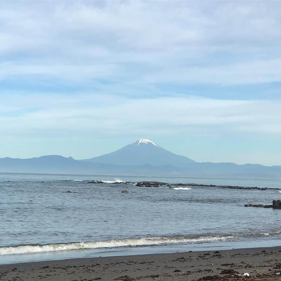 マル子さんのインスタグラム写真 - (マル子Instagram)「①鬼っ子👹  ②今朝の富士山🗻  ③ストロベリームーン🍓  #マル子  #柴犬  #shiba」6月17日 22時18分 - tomikago