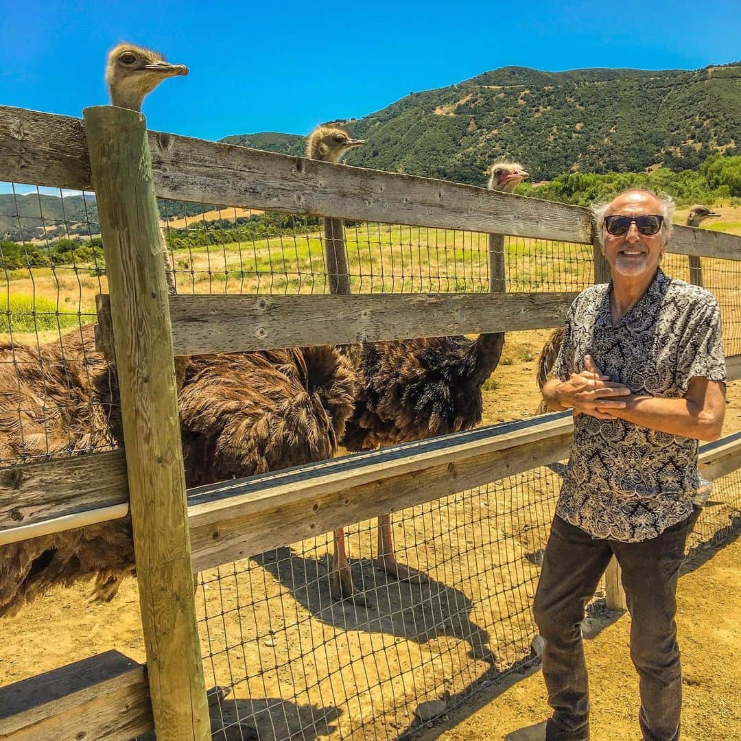 デイビット・マークスさんのインスタグラム写真 - (デイビット・マークスInstagram)「Another stop along our Sunday Drive: Ostrich Land USA. 👍 #ostrichfarm #ostrichlandusa #ostriches #roadsidekitsch #davidmarks [📸 credit @ajoboaugogo]」6月17日 22時23分 - davidleemarks