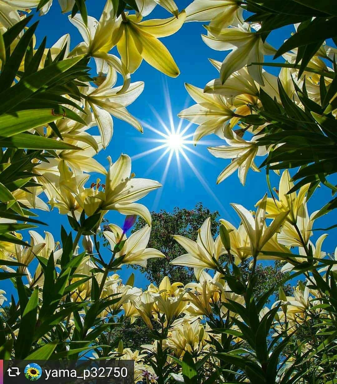 兵庫県のインスタグラム