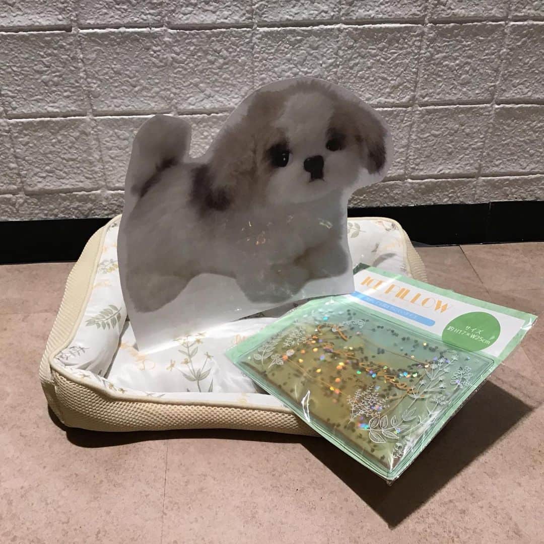 3COINS lN LUMINEさんのインスタグラム写真 - (3COINS lN LUMINEInstagram)「こんにちは🌞 新宿ルミネエスト店です！  大人気接触冷感アイテムの 新しい柄が入荷致しました🌿  スリッパ¥300(tax.) 枕パッド¥300(tax.) シートクッション¥300(tax.) 竹スリッパ¥300(tax.) 氷のう¥300(tax.) 保冷剤ピロー¥300(tax.) ビーズボルスタークッション¥500(tax.) マルチブランケット ¥1000(tax.) 敷パッド ¥1000(tax.) ペットベット¥1000(tax.) ぜひお立ち寄り下さい😄  #3coins #スリコ #ルミネエスト新宿店 #接触冷感 #cool #暑い夏 #安い #涼しい#ひんやり」6月17日 17時10分 - 3coins.in.lumine