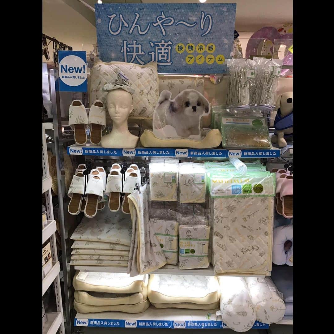 3COINS lN LUMINEさんのインスタグラム写真 - (3COINS lN LUMINEInstagram)「こんにちは🌞 新宿ルミネエスト店です！  大人気接触冷感アイテムの 新しい柄が入荷致しました🌿  スリッパ¥300(tax.) 枕パッド¥300(tax.) シートクッション¥300(tax.) 竹スリッパ¥300(tax.) 氷のう¥300(tax.) 保冷剤ピロー¥300(tax.) ビーズボルスタークッション¥500(tax.) マルチブランケット ¥1000(tax.) 敷パッド ¥1000(tax.) ペットベット¥1000(tax.) ぜひお立ち寄り下さい😄  #3coins #スリコ #ルミネエスト新宿店 #接触冷感 #cool #暑い夏 #安い #涼しい#ひんやり」6月17日 17時10分 - 3coins.in.lumine