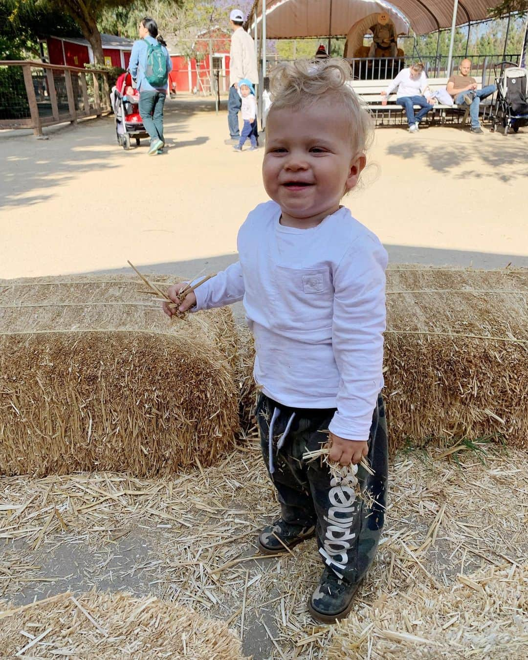 キアラ・フェラーニさんのインスタグラム写真 - (キアラ・フェラーニInstagram)「We spent our last Sunday in Los Angeles at the farm with the family ❤️ #TheFerragnez」6月17日 17時28分 - chiaraferragni