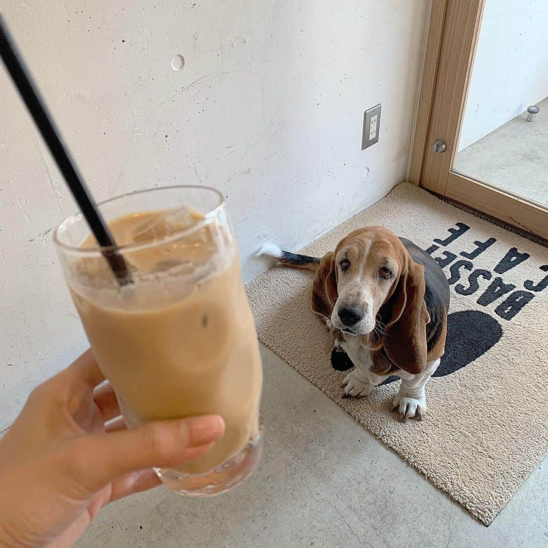 HISANAのグルメインスタ