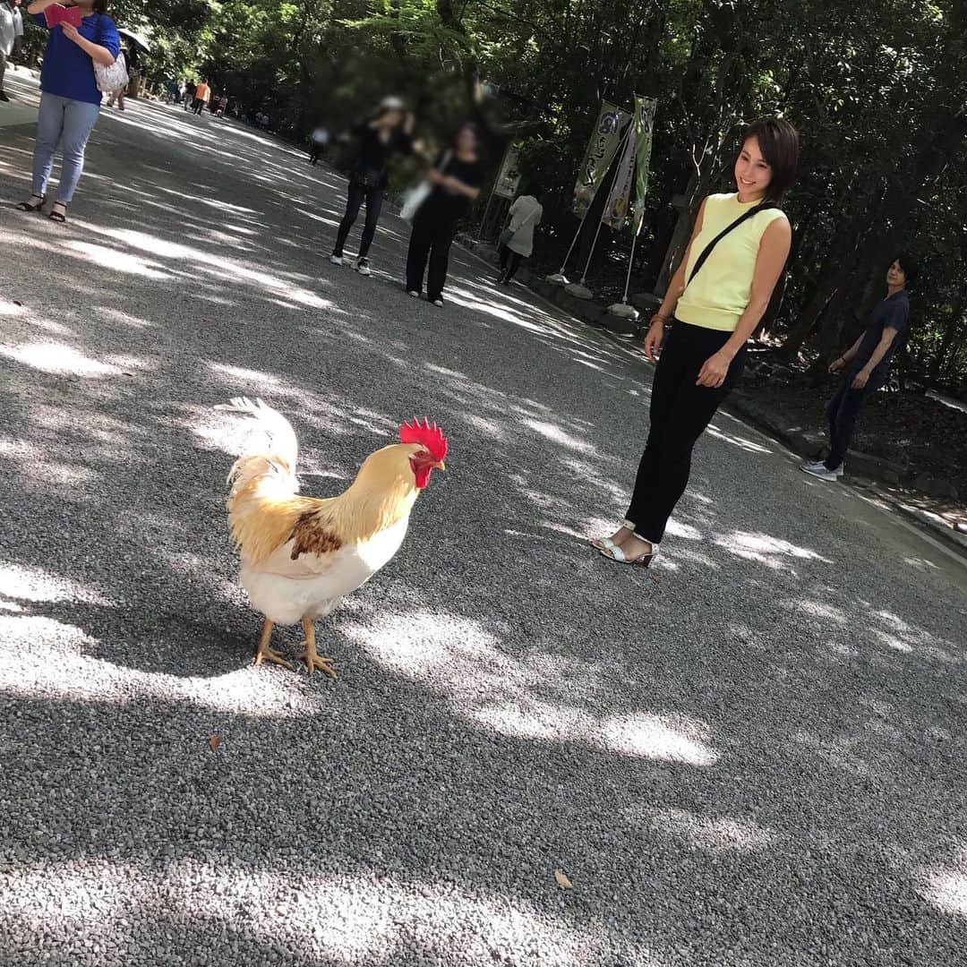 犬童美乃梨さんのインスタグラム写真 - (犬童美乃梨Instagram)「鶏に近づきたいのに怖くて近づけない🐓笑 . . #熱田神宮 に行きました！ #ootd #👒 #fashion」6月17日 17時41分 - minudo