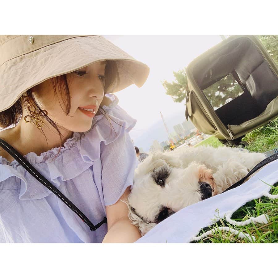 有村実樹さんのインスタグラム写真 - (有村実樹Instagram)「🐶﻿ 仕事終わり、涼しくなったタイミングでイリスと芝生でのんびりしています。﻿ ﻿ ﻿ ゴロゴロ そよ風が気持ちいいー🍀﻿ ﻿ ﻿ ﻿ #芝生 #のんびり #シーリハムテリア #イリス #iris #繁殖引退犬 #家族 #わんこ」6月17日 18時02分 - arimura_miki