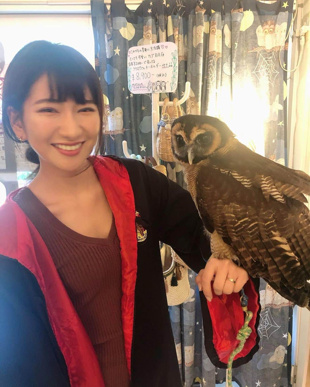 井端珠里さんのインスタグラム写真 - (井端珠里Instagram)「お友達にフクロウカフェに連れてってもらった🦉 最高に、最高に幸せすぎて泣くかと思いました。 あんなに幸せになれる場所があるなんて…｡ﾟ(ﾟ´ω`ﾟ)ﾟ｡ 大好きなフクロウさんに沢山遊んでもらえる幸せって半端ない...。 ①幸せすぎて泣きそう ②肩に乗せようとしてくれたのに頭に乗る ③一目惚れしたマロン様 ④はむはむ甘噛みしてくるフクちゃん ⑤美人アカアシ様にドキドキ ⑥恋したおチビちゃん名前わからず ⑦皆こっち見てる…  フン避けにローブを貸してもらえます。 ネクタイは何避けにもなりません。  #フクロウ#フクロウカフェ#フクロウのみせ#owl#owlcafe」6月17日 18時02分 - jullie8799