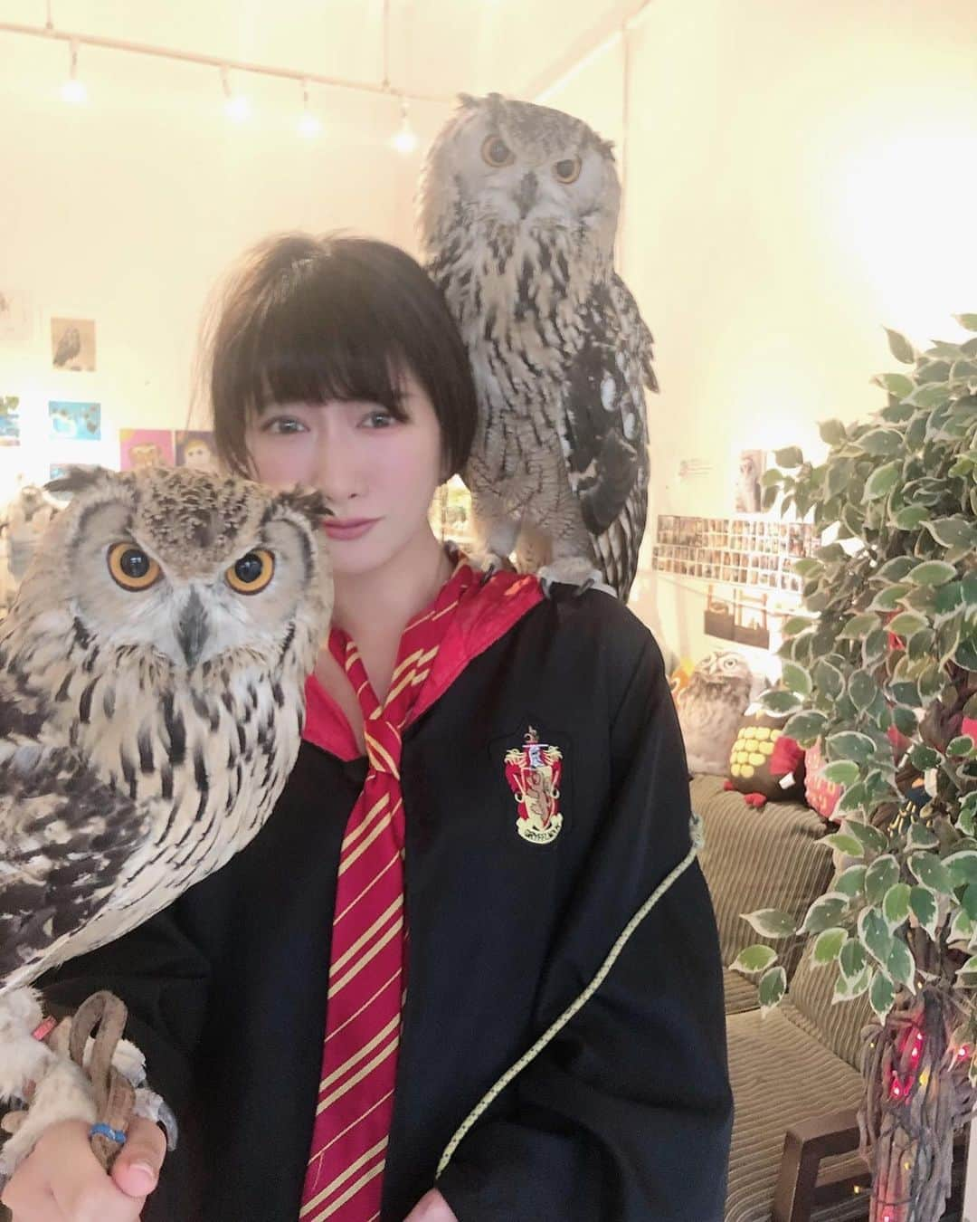 井端珠里さんのインスタグラム写真 - (井端珠里Instagram)「お友達にフクロウカフェに連れてってもらった🦉 最高に、最高に幸せすぎて泣くかと思いました。 あんなに幸せになれる場所があるなんて…｡ﾟ(ﾟ´ω`ﾟ)ﾟ｡ 大好きなフクロウさんに沢山遊んでもらえる幸せって半端ない...。 ①幸せすぎて泣きそう ②肩に乗せようとしてくれたのに頭に乗る ③一目惚れしたマロン様 ④はむはむ甘噛みしてくるフクちゃん ⑤美人アカアシ様にドキドキ ⑥恋したおチビちゃん名前わからず ⑦皆こっち見てる…  フン避けにローブを貸してもらえます。 ネクタイは何避けにもなりません。  #フクロウ#フクロウカフェ#フクロウのみせ#owl#owlcafe」6月17日 18時02分 - jullie8799