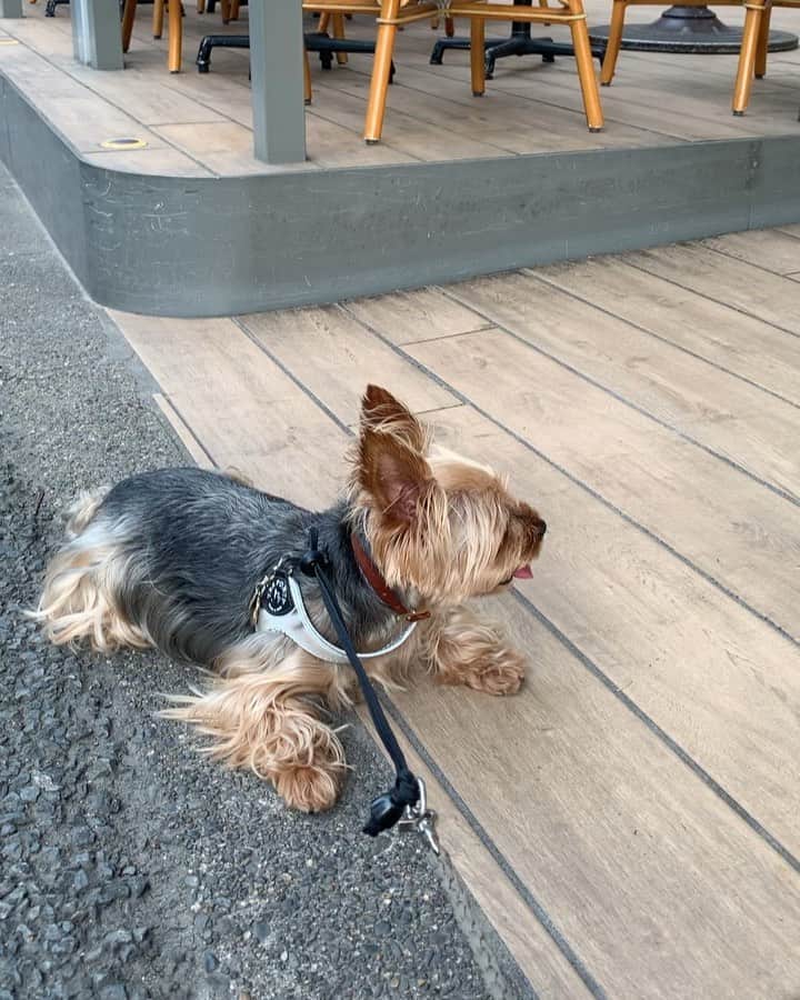 Rubyのグルメインスタ