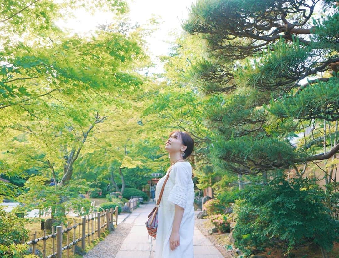 TaVisionさんのインスタグラム写真 - (TaVisionInstagram)「お昼ご飯を食べて向かったのは、﻿ #円通院 ！﻿ ﻿ 円通院は縁結びのパワースポットとして有名なんです！﻿ ﻿ 良いご縁がありますように、、！❤︎﻿ ﻿ 中は一際静寂に包まれていて、鳥の鳴き声や風の音すべてが綺麗に聞こえる場所でした😌﻿ ﻿ とても広くて、﻿ 〜16時までの数珠作り体験や、﻿ 日本最古のバラがあるバラ園など、﻿ とても充実していましたよ！﻿ ﻿ ⭐️円通院﻿ ﻿﻿ ーーーーーーーーーー﻿﻿ 住所▷〒981-0213 ﻿  宮城県宮城郡松島町松島町内, ﻿  字町内109﻿ ﻿ 電話番号▷022-354-3206﻿ ﻿﻿ 営業時間▷４月〜１０月下旬 ﻿  8:30-17:00﻿ ﻿ 拝観料▷大人300円﻿ ーーーーーーーーーー﻿﻿ ﻿ ﻿ 🎁プレゼント企画﻿﻿ ﻿﻿ 旅の中で見つけた可愛いアイテムを、ゆうこすのサイン入りでプレゼントしちゃいます！﻿﻿ ﻿﻿ ﻿﻿・応募方法﻿﻿ ①TaVisionのアカウントをフォロー﻿﻿ ②今回の #宮城TaVision の投稿全てにいいね&コメント﻿﻿ ﻿﻿ 旅を一緒に楽しんで見てくれてる人にプレゼントさせて頂きます！ぜひ応募してくださいね！﻿﻿ ﻿﻿ ﻿﻿ #TaVision #一人旅 #宮城一人旅 #宮城旅行 #ゆうこす #菅本裕子 #仙台 #松島 #女子旅 #旅行好きな人と繋がりたい #旅したくなるフォト #旅好きな人と繋がりたい #旅女子 #旅好き女子 #旅女 #1人旅 #円通院 #円通院庭園 #松島 ﻿ ﻿ ﻿」6月17日 18時06分 - tavision.tv