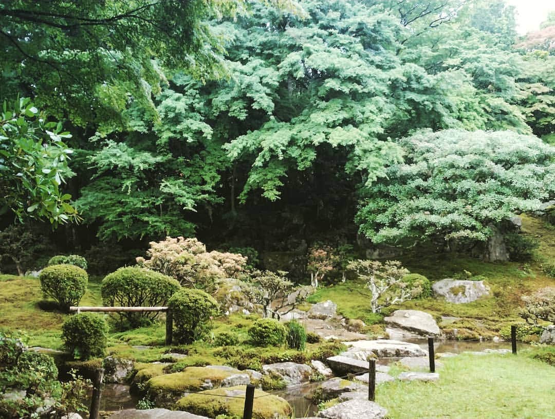 市川笑野のグルメインスタ