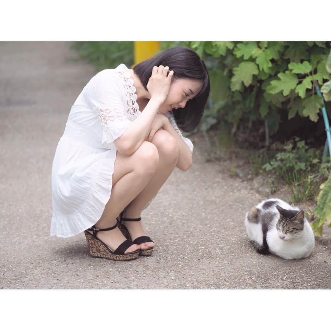 小川あゆ美さんのインスタグラム写真 - (小川あゆ美Instagram)「. 遭遇🐈 . . . . . #にゃんすたぐらむ #お写んぽ #その瞬間に物語を #ねこ部 #のらねこ部 #カメラのある生活 #カメラ女子 #ポートレート部 #横顔 #キリトリセカイ #ボブ #ボブヘアー #ポートレートしま専科 #広がり同盟  #cat #portrait_shots #tabijyo #ig_japan #igportrait #good_portraits_world #japanesegirl #jp_portrait部  #냥스타그램 #고양이 #얼스타그램 #셀스타그램 #단발머리 #단발머리스타일 #옆얼굴 #좋아요늘리기」6月17日 18時19分 - ayumi_ogawa