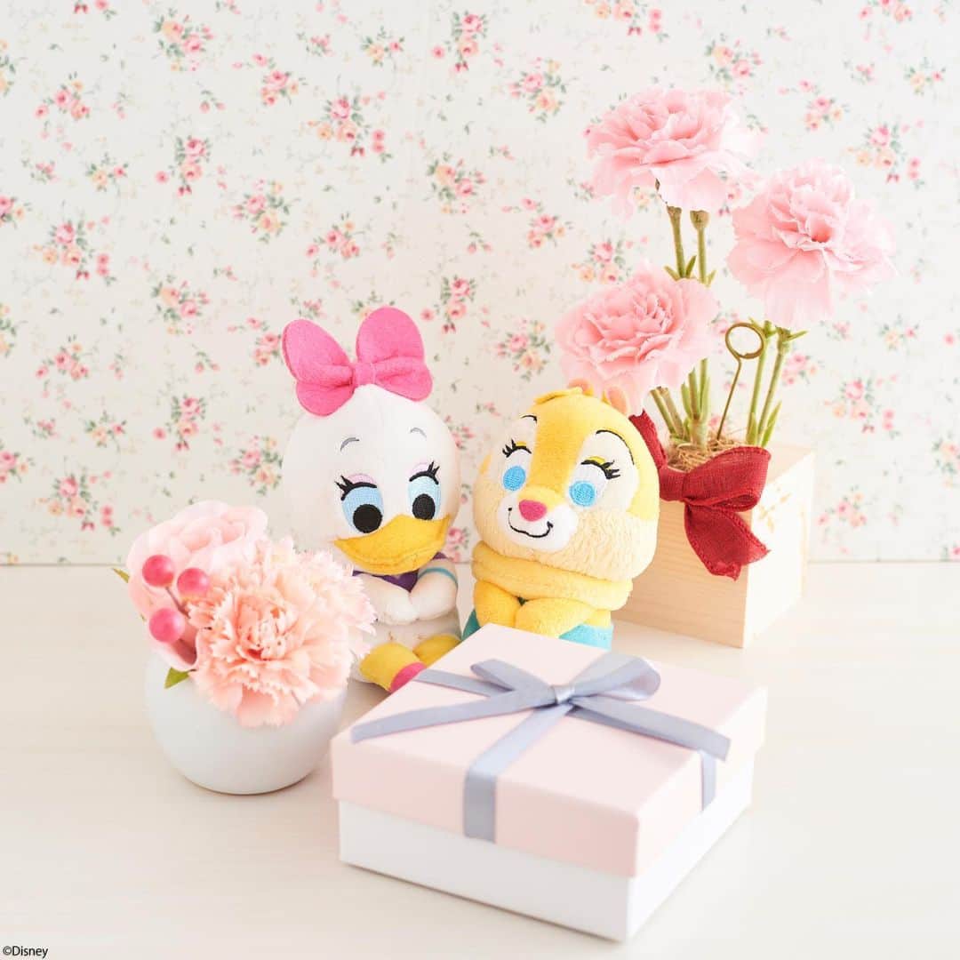 ちょっこりさん【公式】のインスタグラム：「#20190617 * クラリスが何やら、プレゼンをもらったみたい。 チップとデールからの感謝の気持ち。 * #ちょっこりさん #ぬい撮り#ぬいぐるみ #ディズニーグッズ #chokkorisan#disney #takaratomyarts #ぬいぐるみと撮り隊 #disney写真部 #ちょっこりさん好きな人とつながりたい」