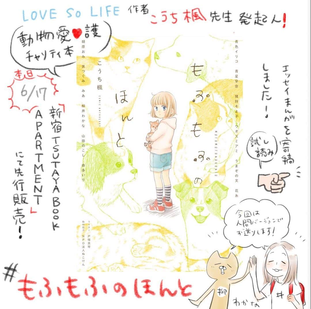 柳井わかなのインスタグラム：「こんばんは！お知らせです🙇‍♀️本日6月17日新宿@tsutayabookapartment にてこうち楓先生発起人#もふもふのほんとが先行発売になります！ 私は子供の頃拾った捨て犬の思い出をエッセイ漫画で寄稿させて頂きました😊 こちら動物愛護チャリティ漫画本でして、収益は愛護団体に寄付となります。 今回は先行発売ですので、その他の店舗さんやネット通販でのお取り扱いは７月以降を予定しております。 都内近郊の方以外の方につきましては、今しばらくお待ち頂けますと幸いです。 ちょっと特殊な販売方法をしてまして、というのもより多くの収益を愛護団体に寄付したいという思いからこの様な形となりました。 なんと今ならこうち先生の貴重な原画が展示されております！動物愛の深い繊細なタッチを、新宿に寄られた際には是非ご覧になって下さい！ 特典ポストカードなど盛りだくさんになっております👍🎉🎊 沢山の人に広がって行くことを願って🙏✨よろしくお願い致します🙇‍♀️🙇‍♀️🙇‍♀️」
