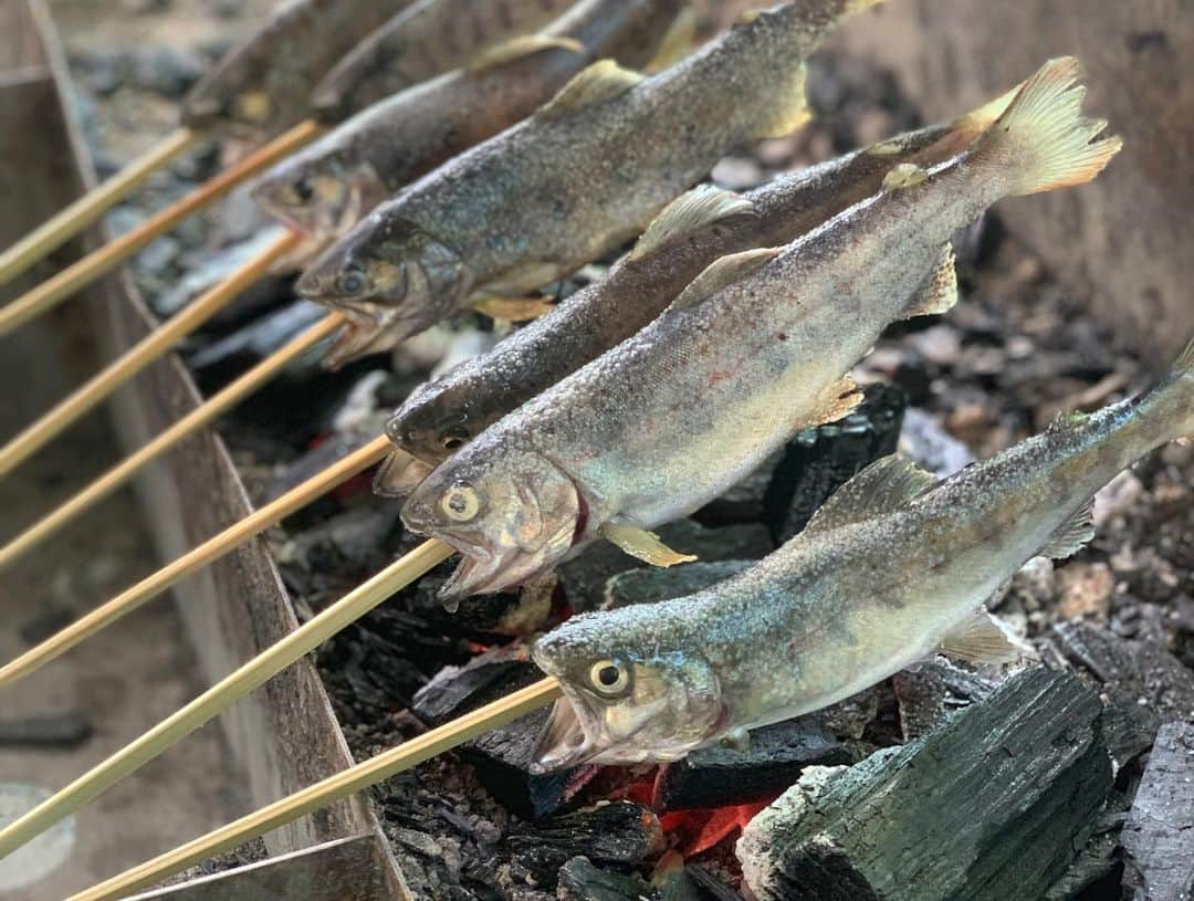 北川航也さんのインスタグラム写真 - (北川航也Instagram)「. day off🐟🎣 . #やまめ平 #やまめ釣り #やまめ #バーベキュー #BBQ #麦わら帽子」6月17日 19時12分 - koya_kitagawa_23