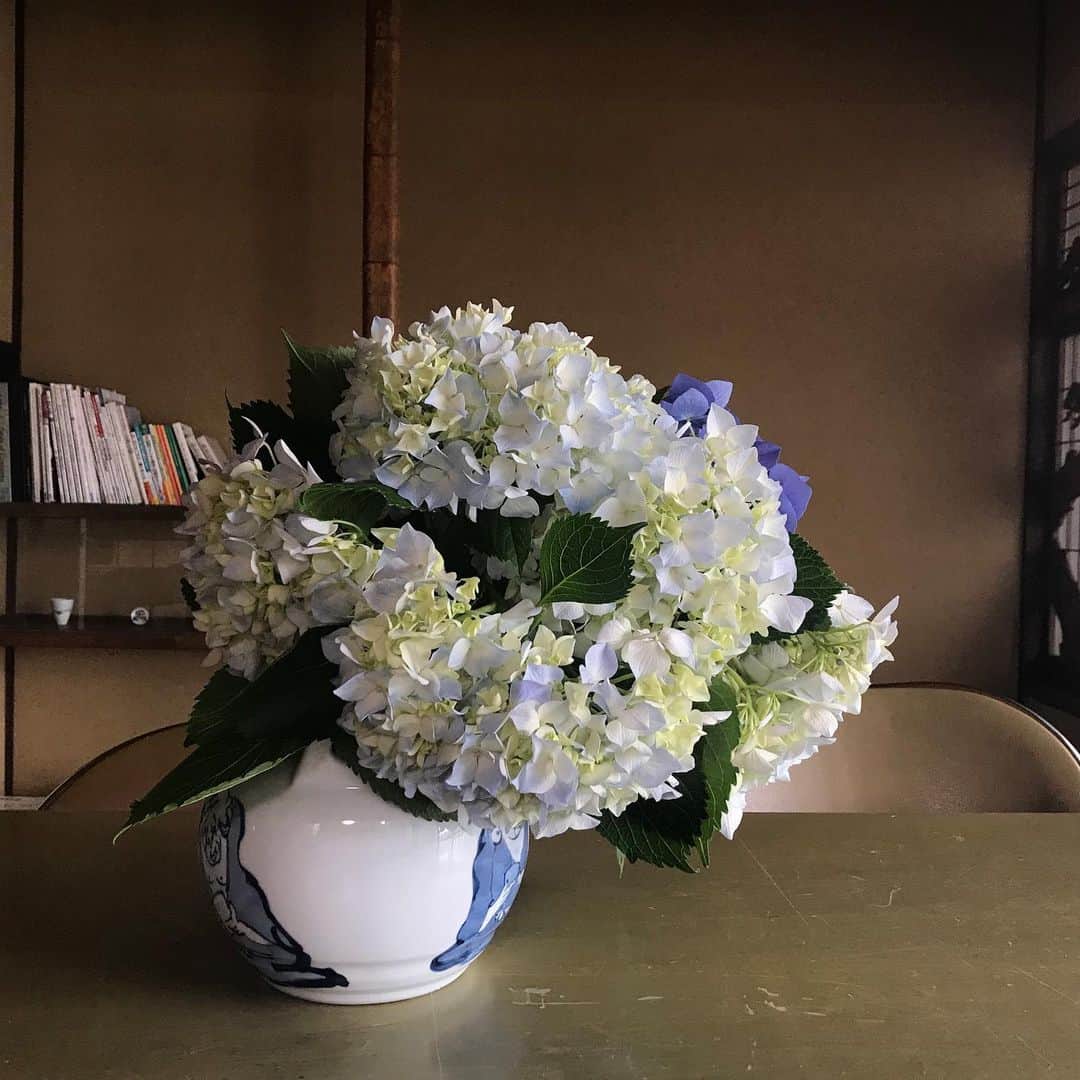 ari ta suのインスタグラム