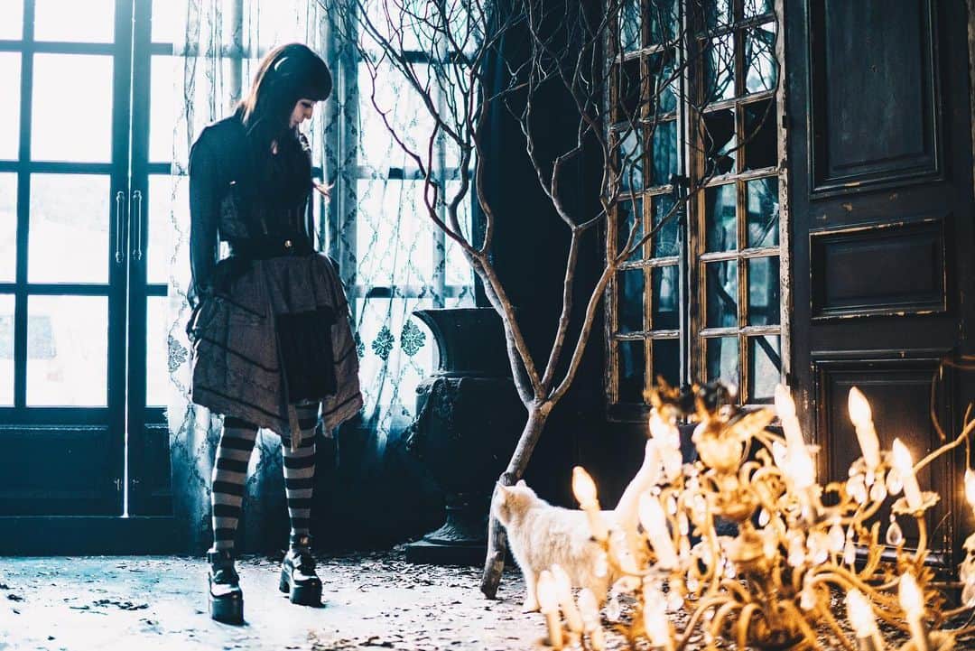 yucat（加藤有加利）さんのインスタグラム写真 - (yucat（加藤有加利）Instagram)「私を連れてって yucat×リリィ（ririco:ram） photo by リリィ hair&make by Aki Nakashima ・ ・ ・ ‎⁦‪#yucat‬⁩ #加藤有加利 #rythem  #ゴスロリファッション #ゴシック #ゴスロリ #gothic #gothicstyle #gothiclolita #gothicfashion #gothicgirl #singer #fantasy #darkfantasy #ゴス #portrait #ポートレイト #photography #モデル #model #撮影スタジオ #tokyo #photostudio #猫 #cat #白猫 #🐾 #followme」6月17日 19時45分 - yucat1031