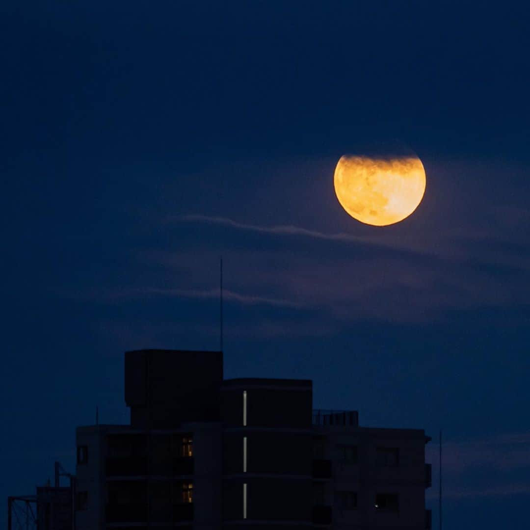 時任三郎さんのインスタグラム写真 - (時任三郎Instagram)「今日の満月の出。＠東京 少し雲で隠れてたけどね。明日もフジテレビ「監察医朝顔」のロケ。頑張ろう！ ‪#ストロベリームーン」6月17日 20時15分 - tokitosaburo