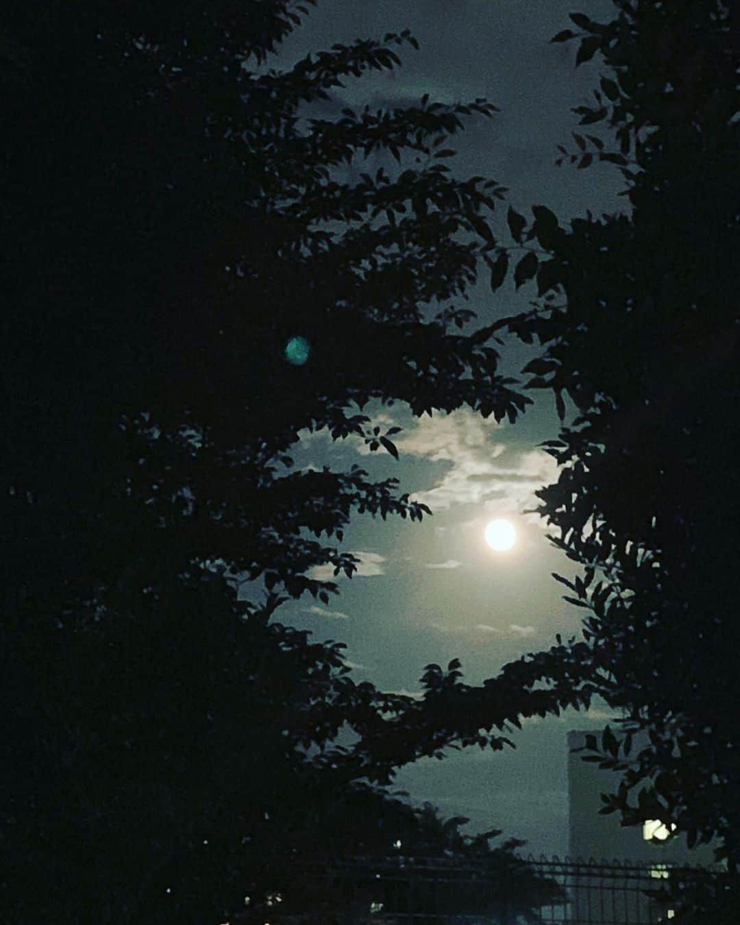 榊いずみさんのインスタグラム写真 - (榊いずみInstagram)「月が美しい。 #fullmoon」6月17日 20時10分 - izumizmroom