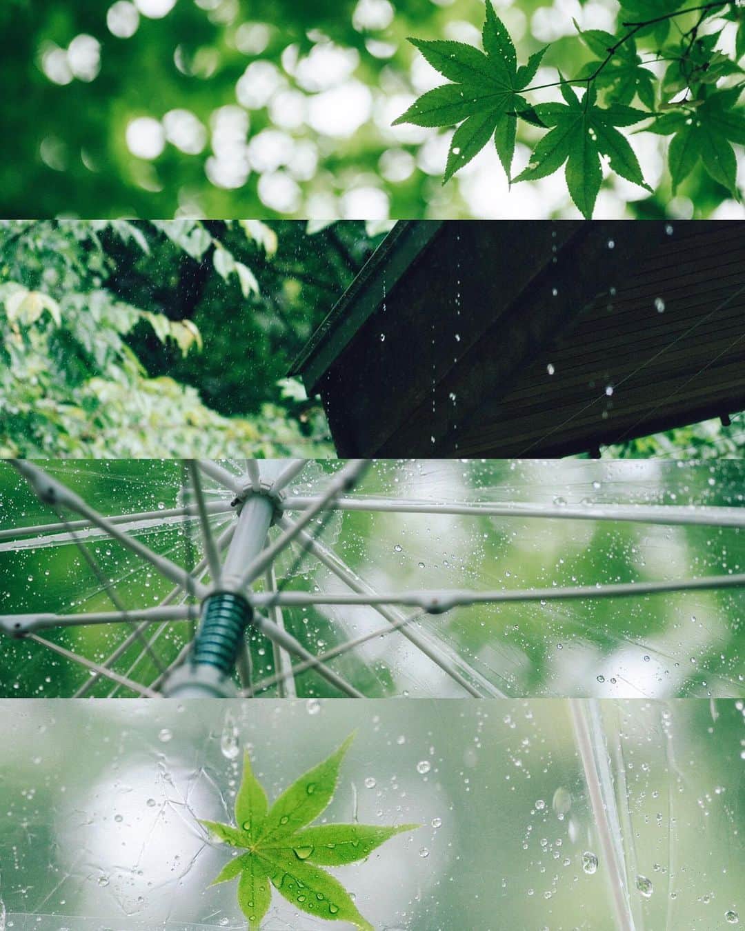 Naokoのインスタグラム：「rainy day at Karuizawa..☂️ * 軽井沢は雨がちでした。 雨に濡れた新緑もまたをかし。  #hasselblad_diary #x1d」