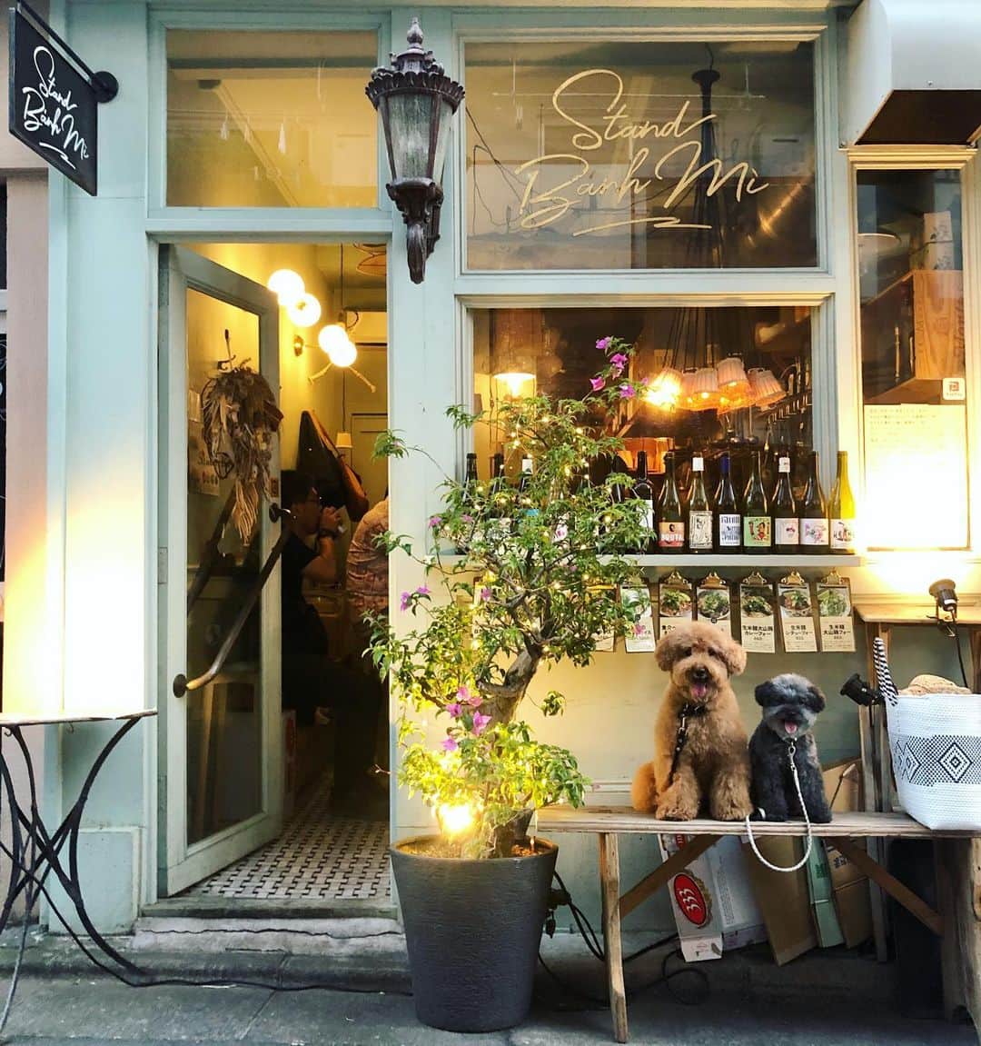 masakiのグルメインスタ