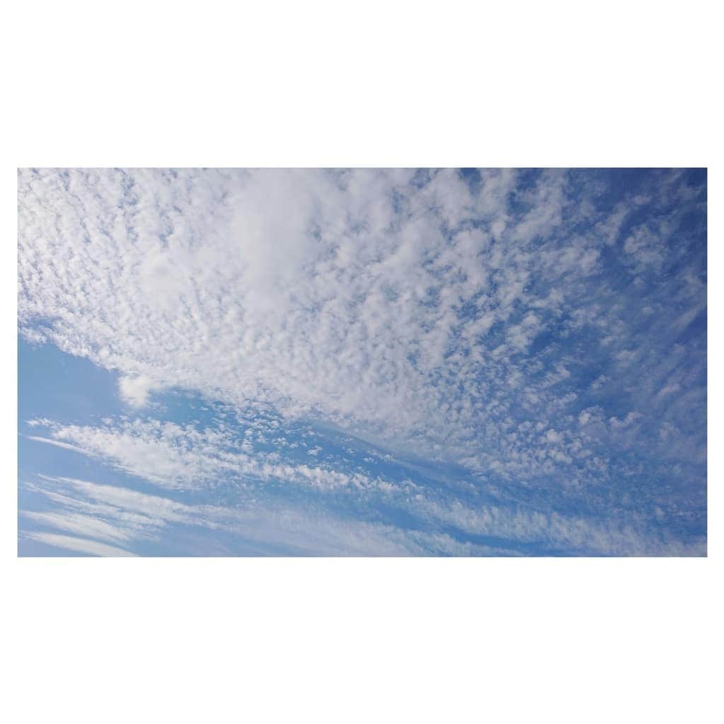 花村怜美さんのインスタグラム写真 - (花村怜美Instagram)「梅雨の中休み。 #空 #雲 #自然 #景色 #風景 #sky #cloud #clouds #cloudscape #cloudstagram #skystagram #nature #japan」6月17日 20時38分 - satomi_hanamura