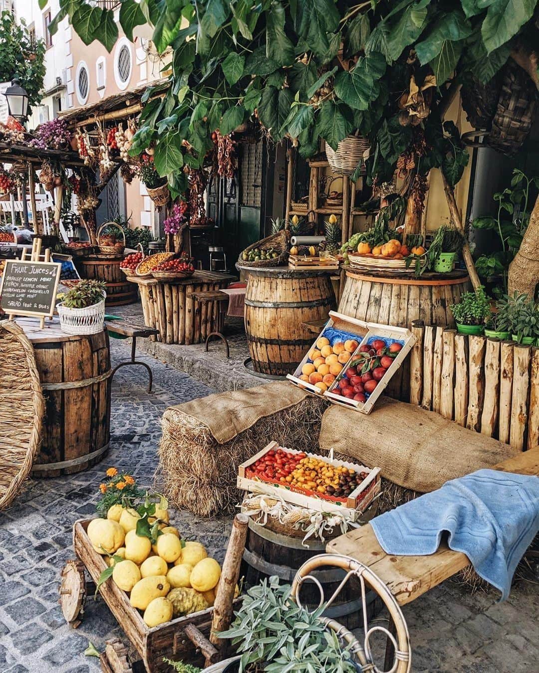 Lonely Planetさんのインスタグラム写真 - (Lonely PlanetInstagram)「Today's #lonelyplanet regram comes from @andreannu, who snapped this hopelessly charming scene at @garddenfruit on the Italian island of #Ischia. 😍 We love regramming your travel shots. Tag them with #lonelyplanet for a potential feature!」7月17日 0時00分 - lonelyplanet