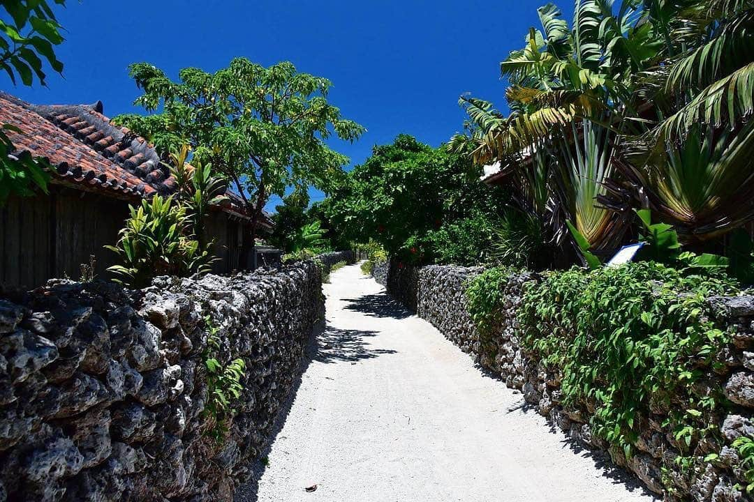 Be.okinawaさんのインスタグラム写真 - (Be.okinawaInstagram)「Wander the sandy streets of Taketomi Island, where you can find the architectural heritage of Okinawa preserved. 📷:@norichan_okinawa  #taketomiisland #yaeyamaislands #竹富島 #八重山群島 #다케토미섬 #야에야마제도 #竹富 #八重山諸島 #traditionalhouse #redtileroofs #beokinawa #visitokinawa」7月16日 17時05分 - visitokinawajapan