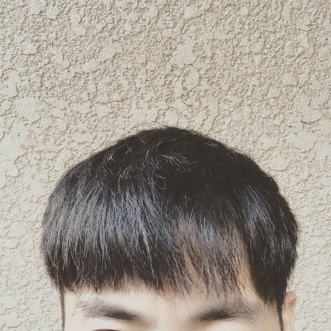西野恭之介さんのインスタグラム写真 - (西野恭之介Instagram)「自分で髪の毛切ってるんやけど、失敗して亀頭。」7月16日 17時25分 - choplin_nishino